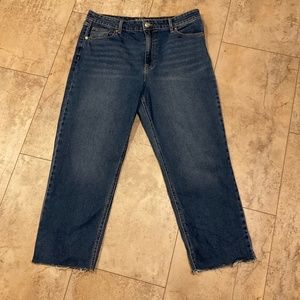 Wild Fable High Rise Straight Ankle Blue Jeans Sz 14 Stretch